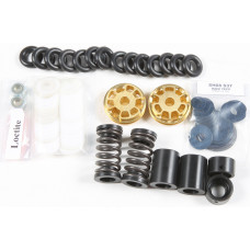 GOLD FORK VALVE KIT