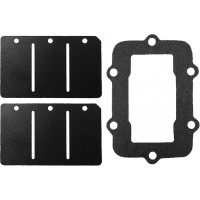 REED VALVE REBUILD KIT S-D