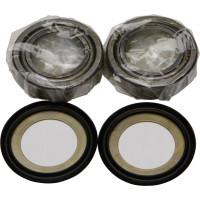 STEERING BEARING/SEAL KIT