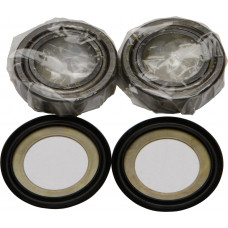 STEERING BEARING/SEAL KIT
