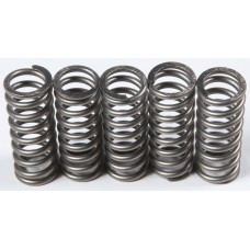 CLUTCH SPRINGS CSK214