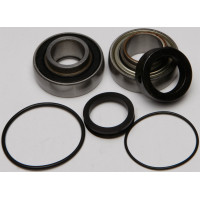 CHAIN CASE BEARING & SEAL KIT
