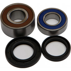 REAR WHEEL BEARING/SEAL KIT