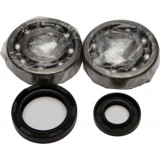 CRANKSHAFT BEARING/SEAL KIT