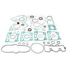 COMPLETE GASKET SET WITH OIL SEALS