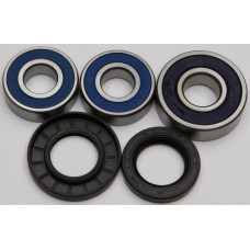 REAR WHEEL BEARING/SEAL KIT