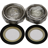 STEERING BEARING/SEAL KIT