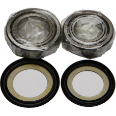 STEERING BEARING/SEAL KIT