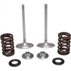 INTAKE VALVE SPRING KIT