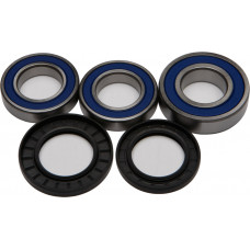 REAR WHEEL BEARING/SEAL KIT