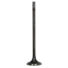 INTAKE VALVE