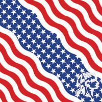 BANDANNA USA WAVY