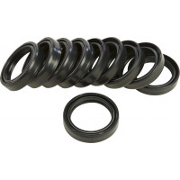 FORK SEALS 41MM 10/PK