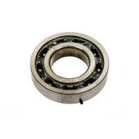 6207 BEARING W/ PIN