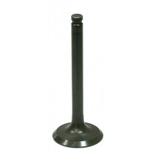 EXHAUST VALVE