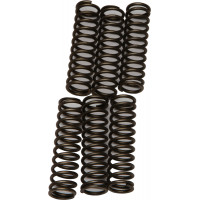 CLUTCH SPRINGS CSK109