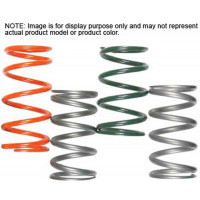 STEEL CLUTCH SPRING RED/GREEN 120-220