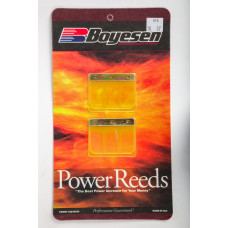 MOTORCYCLE REEDS