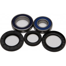 WHEEL BEARING & SEAL KIT