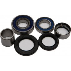 REAR WHEEL BEARING KIT