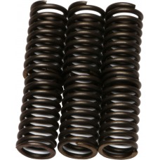 CLUTCH SPRINGS CSK30