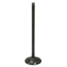 INTAKE VALVE