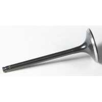 BLACK DIAMOND EXHAUST VALVE