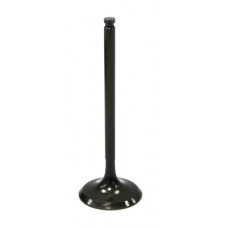 INTAKE VALVE