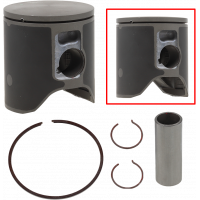 PISTON T-MOLY POL