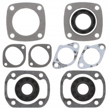 GASKET KIT-ROTAX 294FC TWIN TNT300 '73-74