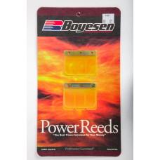 MOTORCYCLE REEDS