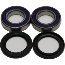 WHEEL BEARING & SEAL KIT