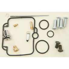 CARBURETOR REPAIR KIT