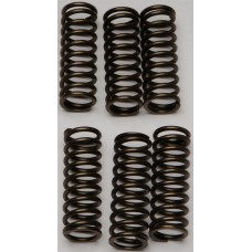 CLUTCH SPRINGS CSK145