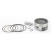 PISTON KIT 79.95/STD POL