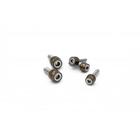 CHACHO BOLT KIT BRONZE TWIN CAM ENG TRANS PRIM