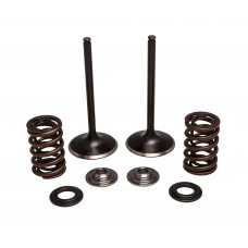 INTAKE VALVE/SPRING KIT STAINLESS STEEL