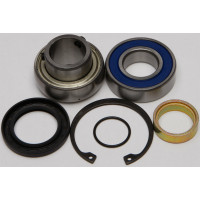 CHAIN CASE BEARING & SEAL KIT