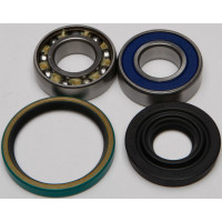 CHAIN CASE BEARING & SEAL KIT