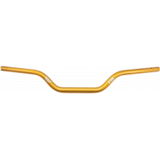 MOTO STYLE HBAR HI RISE GOLD TBW