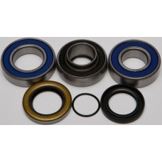 CHAIN CASE BEARING & SEAL KIT