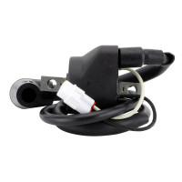 EXTERNAL IGNITION COIL W/SPARK PLUG CAP