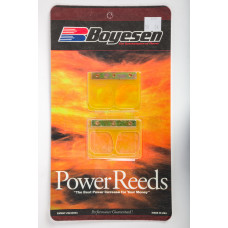 MOTORCYCLE REEDS