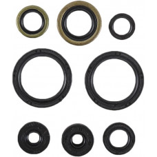 OIL SEAL SET