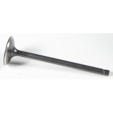 BLACK DIAMOND INTAKE VALVE BLACK DIAMOND INTAKE VALVE