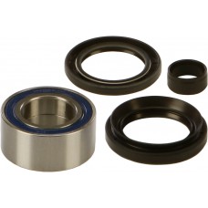 WHEEL BEARING & SEAL KIT