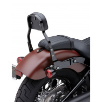 DETACHABLE BACKREST MINI BLACK FLDE/FLSL/FXBB 18-25