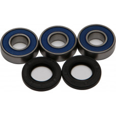 REAR WHEEL BEARING/SEAL KIT