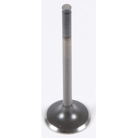 EXHAUST VALVE