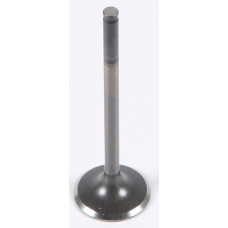 EXHAUST VALVE
